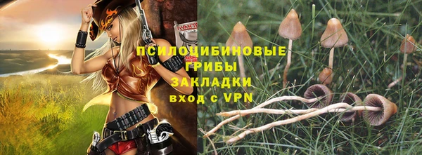 ПСИЛОЦИБИНОВЫЕ ГРИБЫ Абинск